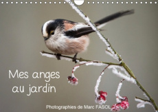 MES ANGES AU JARDIN (CALENDRIER MURAL 2019 DIN A4 HORIZONTAL) - ESPECES COMMUNES DES JARDINS... DU M - FASOL MARC
