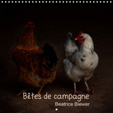 Bêtes de campagne (Calendrier mural 2020 300 × 300 mm Square). Des animaux de nos campagnes (Calendr - Biewer Béatrice