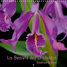 LA BEAUTE DES ORCHIDEES (CALENDRIER MURAL 2020 300 * 300 MM SQUARE) - DES FLEURS FASCINANTES AU FORM - BIEWER BEATRICE