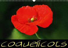 Coquelicots (Calendrier mural 2020 DIN A3 horizontal). Série de tableaux de fleurs de coquelicot (Ca - Sudpastel K.a.