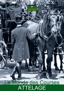 LE MONDE DES COURSES ATTELAGE (CALENDRIER MURAL 2020 DIN A3 VERTICAL) - PHOTOS D'ART SUR LES ATTELA - MP CAPELLA