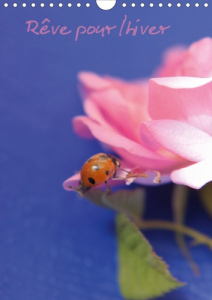 Rêve pour l'hiver (Calendrier mural 2020 DIN A4 vertical). Les fleurs du printemps sont les rêves de - Khiri Qahwadji amal