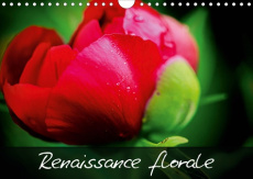 Renaissance florale ! (Calendrier mural 2020 DIN A4 horizontal). Embellissons notre vie en admirant - Mocanu Carmen