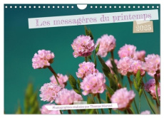 Les messagères du printemps (Calendrier mural 2025 DIN A4 vertical), CALVENDO calendrier mensuel. Jo - Martzel Thomas
