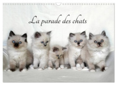La parade des chats (Calendrier mural 2025 DIN A3 vertical), CALVENDO calendrier mensuel. Mois après - Chrystal Jennifer