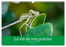 La vie de nos prairies - Demoiselles et libellules (Calendrier mural 2025 DIN A3 vertical), CALVENDO - Gaymard Alain
