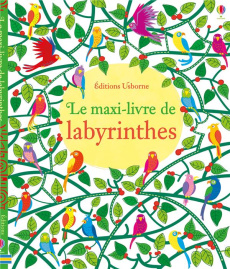 Le maxi-livre de labyrinthes - Robson Kirsteen ; Clarke Phil