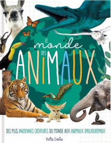 Le monde des animaux. Des plus anciennes créatures du monde aux animaux d'aujourd'hui ! - Chabot Claire ; Robichaud Danielle ; Brougère Maud