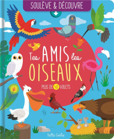 Tes amis les oiseaux - Boucher Marie-Eve ; Thibault Mélodie ; Gauthier Ev