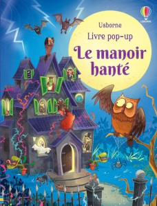 Le manoir hanté - Fiorin Fabiano ; Taplin Sam ; Hawcock Dave ; Finch