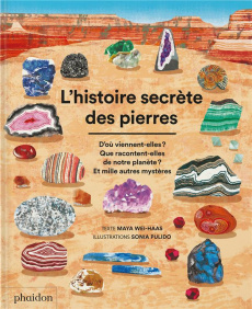 L'histoire secrète des pierre. D'où viennent-elles ? Que racontent-elles de notre planète ? Et mille - Wei-Haas Maya ; Pulido Sonia ; Lecoq Sophie