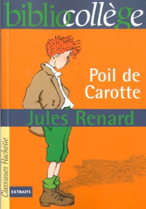 Poil de carotte - Renard Jules ; Mandopoulos Béatrice ; Novarino-Pot