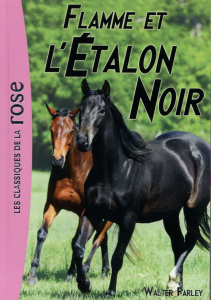 L'Etalon Noir Tome 17 : Flamme et l'étalon noir - Farley Walter ; Rouet Philippe