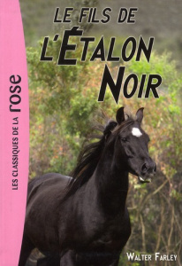 L'Etalon Noir Tome 4 : Le fils de l'étalon noir - Farley Walter ; Brécard Jacques