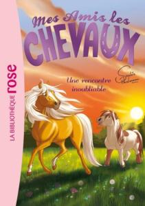 Mes amis les chevaux Tome 6 : Une rencontre inoubliable - Thalmann Sophie ; Godeau Natacha ; Mandrou Isabell