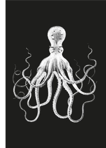 Poulpe - Montanay Jean-Pierre ; Lucano Frédéric ; Lucano So