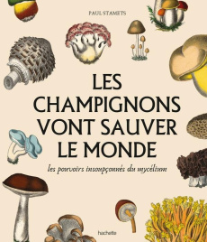 Les champignons vont sauver le monde. Les pouvoirs insoupçonnés du mycelium - Stamets Paul ; Beauvais Michel