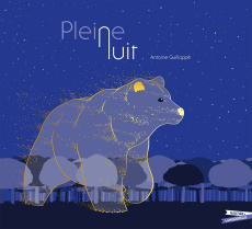 Pleine nuit - Guilloppé Antoine
