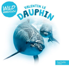 Valentin le Dauphin - Desfour Aurélie