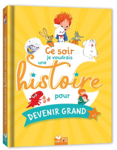 Ce soir je voudrais une histoire pour devenir grand - Aladjidi Caroline ; Aladjidi Virginie ; Ahrweiller