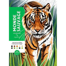 Monde sauvage - MACHU PICCU