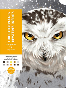 100 coloriages mystères inédits - Bal William