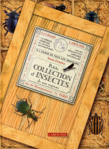 Petite collection d'insectes de nos régions - Dourlot Sonia ; Leraut Patrice