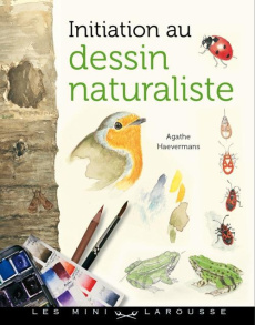 Initiation au dessin naturaliste - Haevermans Agathe
