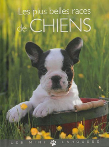 Les plus belles races de chiens - Bulard-Cordeau Brigitte