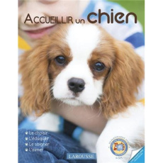 Accueillir un chien - Otsmane Sandrine ; Harry Natacha