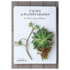 Cactus et plantes grasses. 50 compositions en pots - Katsuji Sueko ; Nishio Marcia