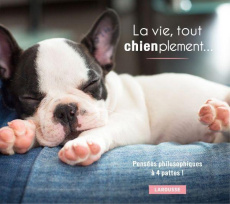 La vie, tout chienplement... - Copeland Cynthia ; Maillet Catherine