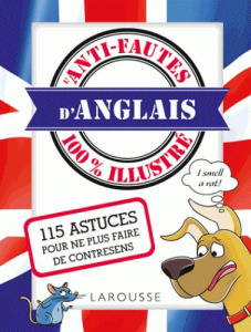 Anti-fautes d'anglais 100 % illustré - Pyskir Mathilde ; Ruiz Emilie