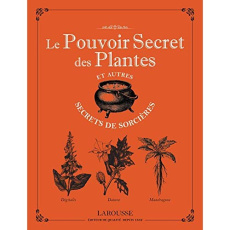 Le pouvoir secret des plantes et autres secrets de sorcières - Viard Michel