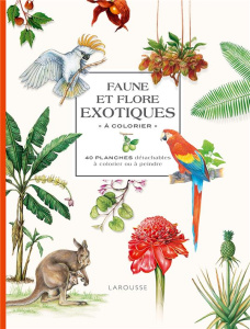 Faune et flore exotiques à colorier. 40 planches détachables à colorier ou à peindre - Jeuge-Maynart Isabelle ; Stora Ghislaine