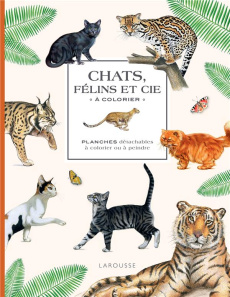 Chats, Félins et cie à colorier. Planches détachables à colorier ou à peindre - Jeuge-Maynart Isabelle ; Stora Ghislaine