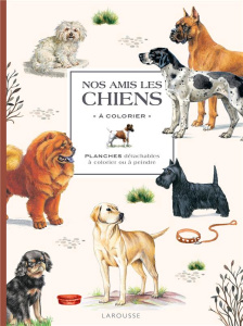 Nos amis les chiens. Planches détachables à colorier ou à peindre