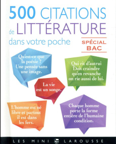 500 citations de littérature dans votre poche - Babic Laurence ; Jannuska Cécile