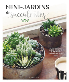Mini-jardins de succulentes - Kuroda Kentaro ; Nishio Marcia ; Hirasawa Chiaki