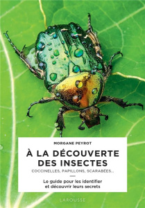 A la découverte des insectes. Coccinelles, papillons, scarabées... - Peyrot Morgane ; Jeuge-Maynart Isabelle ; Stora Gh