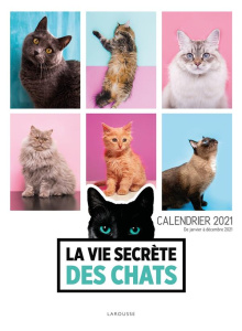 La vie secrète des chats. Calendrier de janvier à décembre, Edition 2021