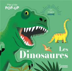 Les dinosaures - Paruit Marie ; Bourgon Mathilde