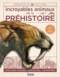 Incroyables animaux de la préhistoire. Créatures marines, dinosaures, mammifères - Dixon Douglas ; Dickmann Nancy ; Lomax Dean ; Call