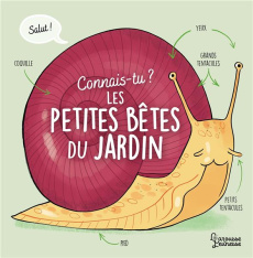 Connais-tu les petites bêtes du jardin ? - Besson Agnès ; Ferrández Candela