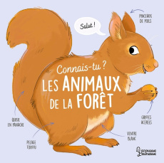 Connais-tu les animaux de la forêt ? - Besson Agnès ; Vanhoof Axelle