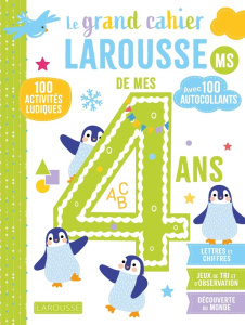 Le grand cahier Larousse de mes 4 ans MS. 100 activités ludiques, avec 100 autocollants - Meyer Aurore ; Urvoy Delphine ; Chiodo Virginie ;