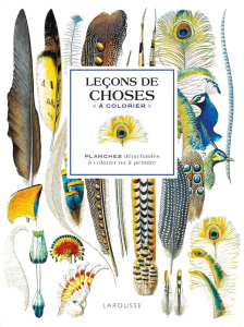 Leçons de choses à colorier. Planches détachables à colorier ou à peindre