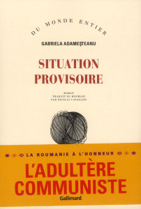 Situation provisoire - Adamesteanu Gabriela ; Cavaillès Nicolas