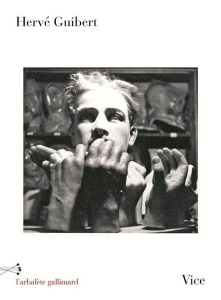 Vice - Guibert Hervé