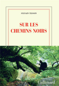 Sur les chemins noirs - Tesson Sylvain